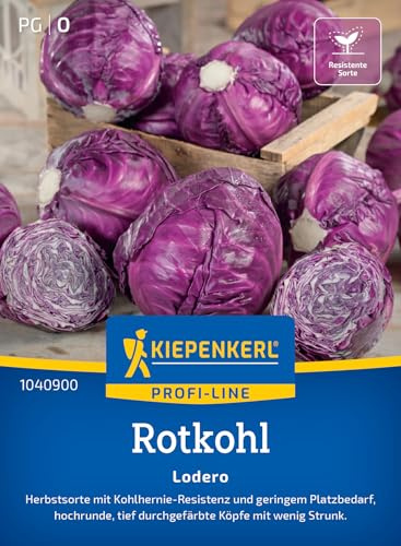 Kiepenkerl Rotkohlsamen Lodero 1040900, Gemüsesaat | Herbstsorte, geringer Platzbedarf, kompakt, ertragreich