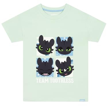 How To Train Your Dragon Camiseta Niña, Camiseta Manga Corta Niña Toothless, Ropa De Niños para Verano, Camisetas Niño De Algodón, Verde 11-12 años