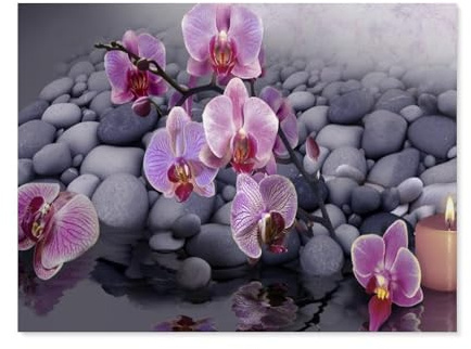 Puzzles 1000 Stück，Orchidee，Für Erwachsene Kinder Spiele Lernspielzeug（38x26cm）-B40