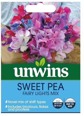 2 Pack Sweet Pea (Fairy Lights) Garden Flower Seeds Grow Your Own Colourful Flowers, Attract Butterflies & Bees
