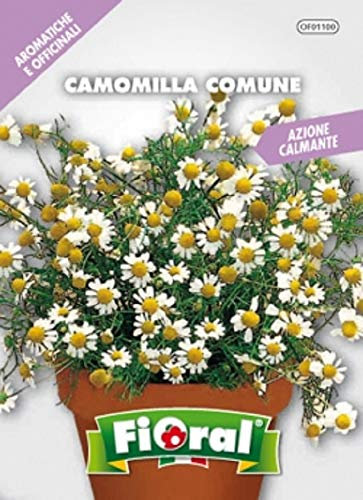Sementi di piante aromatiche e officinali in bustina ad uso amatoriale (CAMOMILLA COMUNE)