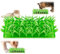Silicone Grass Mat for Cats - Silicone Grass Snuffle Mat for Cats - Cat and Dog Grass Food Mat,Green Grass Silicone Slow Food Mat,Easy to Fill Machine Washable,Cat and Dog Eating Non-slip Pad (1)