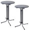 TRUTZHOLM 2X Stehtisch klappbar Ø 80 cm in Anthrazit Höhe 110 cm aus Stahl Gastrotisch Partytisch Bistrotisch Gartentisch Indoor & Outdoor für Hochzeiten Gartenfeste wetterbeständig pflegeleicht