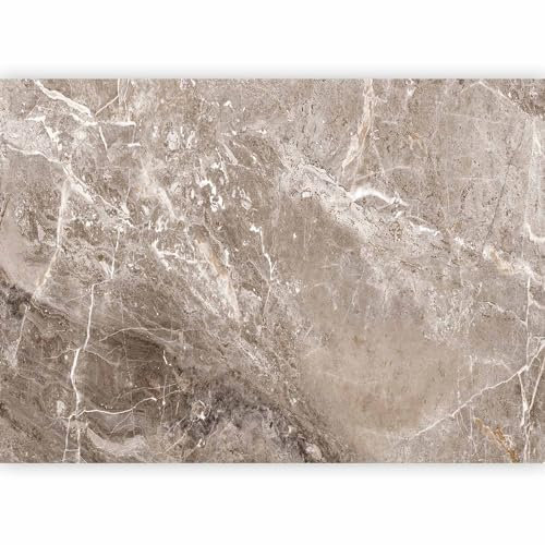 murando - Papier peint panoramique artistique 350x256 cm - Revêtement mural décoration pour chambre salon cuisine - Design unique et moderne - Gris blanc marron - f-B-10028-a-a