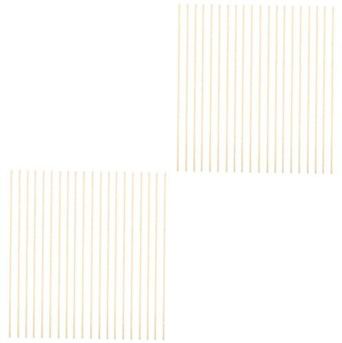 Mipcase 40pièces Tuteurs pour Plantes Grimpantes Support Naturel pour Jardin Et Intérieur pour Pothos Roses Et Autres Plantes Vines