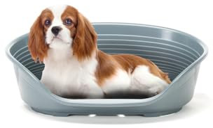 Ferplast Hundebett Katzenbett Kunststoff-Hundebett Medium Hundeliege waschbar Hundekorb atmungsaktiv rutschfest Siesta Deluxe, 62 x 41 x h 23,5 cm, Dunkelgrau
