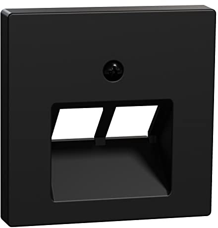Schneider Electric Merten Zentralplatte für UAE-Einsatz, MEG4522-0403 | 2-fach, System M, schwarz matt, 1 Stück