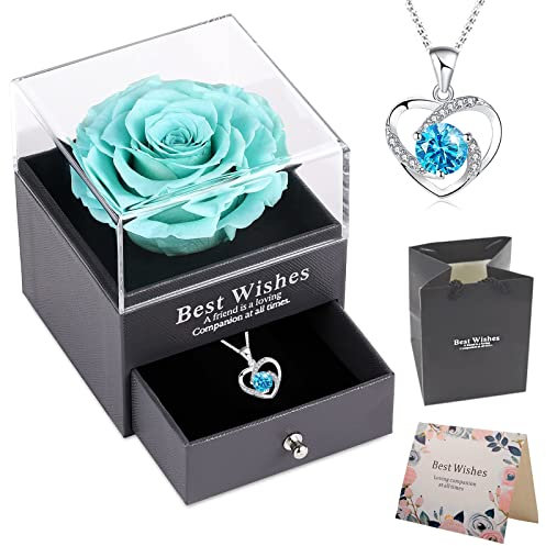 OIOYLEY Rose Eternelle, Vraie Rose éternelle avec Collier pour sa Femme, Maman, Grand-Mère, Amie, pour l'anniversaire Saint Valentin Anniversaire Mariage Noël Fête des Mères Cadeau