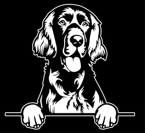 Autoaufkleber/Sticker/für Innen und Außen 28 cm weiß Irish Setter 01