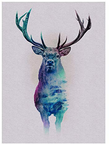 Komar Wandbild | Animals Forest Deer | Poster, Bild, Wohnzimmer, Schlafzimmer, Dekoration, Kunstdruck | ohne Rahmen | P084C-30x40 | Größe: 30 x 40 cm (Breite x Höhe)