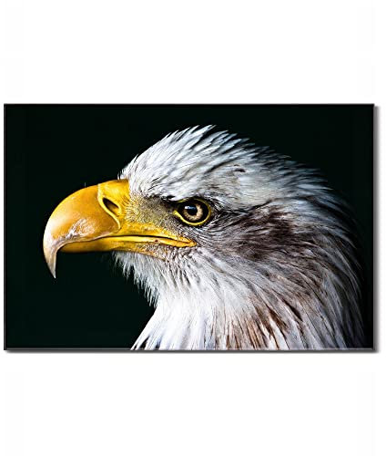 banjado Glas Magnettafel 120x80cm / Magnetwand Glas/Magnetpinnwand als Memoboard Glas/Pinnwand Magnettafel Küche, Büro, Kinderzimmer inkl. 4 Magnete & Montageset - Weißkopfseeadler