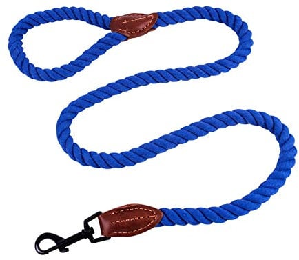 AllPetSolutions Rope Dog Lead - Heavy Duty Walking, Running, Outdoor Training Lead for Dogs - Anti-Tangle Leash with 360 Hook, Strong Clip, Easy Grip Loop Handle - Blue, Braided Nylon, 120cm