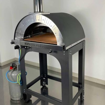 Forno pizza ibrido a gas e legna - 2 pizze - con carrello da esterno, uso tradizionale a legna o con bruciatore - pietra refrattaria 3 cm, 500 gradi, Made in Italy (Solo forno senza bruciatore a gas)