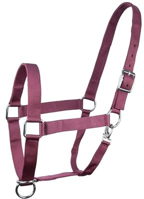 Brama West Halfter für Pferde Kaltblut | Halfter XFull XXFul XXXFull | sehr robust & reisfest | verstellbar | Stallhalfter | Weinrot, XFull