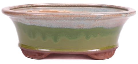 Bonsai - Schale oval 26 x 21 x 9.5 cm beige/grün 30065