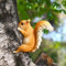 Voyyphixa Eichhörnchen Gartendeko für Draußen Tier Hängende Gartenzwerge Baum Dekoration Gartendeko für Draußen Wetterfest Squirrel Tree Hugger Garden Statue für Terrasse Rasen (Eichhörnchen A)