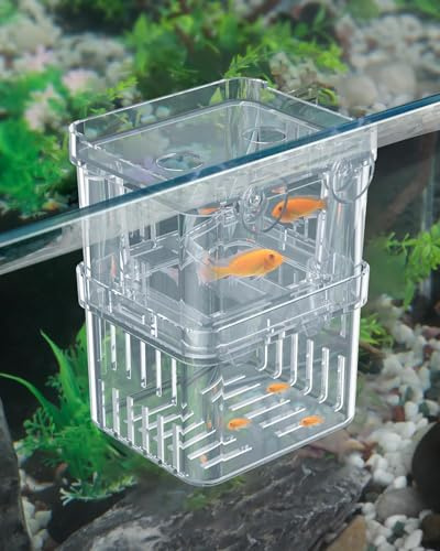 Pawfly Aquarium Fischzuchtbox Transparente Kunststoff-Zuchtbox für Aquarium Brutkasten Brutkasten Brutkasten für Baby Fische Betta Clownfisch Große Isolationsbox für Aggressive Fische Guppy