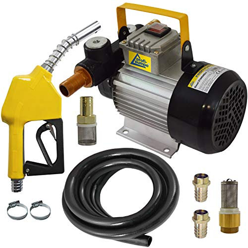 Dieselpumpe Heizölpumpe Biodiesel Ölpumpe Kraftstoffpumpe Selbstansaugende Pumpe Standard Elektrische 230V Dieselpumpe Leistungsstarker Motor Set Standard-4 mit Paket 2