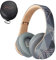 PowerLocus Bluetooth Headphones Over Ear, Wireless Headphones with Microphone, Foldable Headphone, Soft Memory Foam Earmuffs & Lightweight, Micro SD/TF, FM Radio for iPhone/Android/Tablet/PC/TV