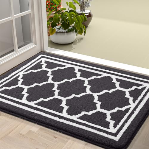 Homaxy Washable Door Mats Indoor, Dirt Trapper Mat Absorbent Non-Slip Low Profile Doormat for Entrance, Inside, Kitchen, Front Back Door, Pets and Dogs— 43 x 76 cm, Dark Grey