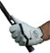 Grab Perfect Cabretta Pro Golfhandschuh (S, Rechts)