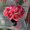 2 pcs Tulpenzwiebeln- hochbeete für garten，Dekorative Pflanzen bonsai topf，gartenpflanzen winterharte pflanzen für garten blumen garten，gartenblumen，Farbenprächtige pflanzentopf，winterharte