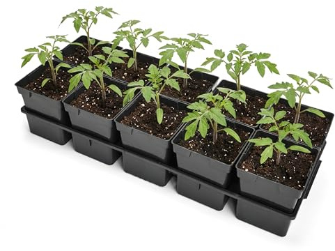 Garronda Anzuchtschale 10 Plätze mit 1 L Pflanztöpfen eckig Set Transporttray Kunststoff für Gewächshaus Garten Anzuchtsysteme mechanischen Transport Schwarz GD-0208