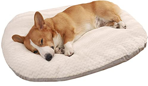 qing yun Ovales Hundekissen, groß, bequem, beruhigend, XL-Hundebett, waschbar, weich, warm, für Hunde und Katzen (S 45 x 35 cm)