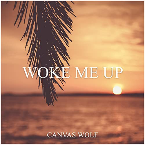 Woke Me Up