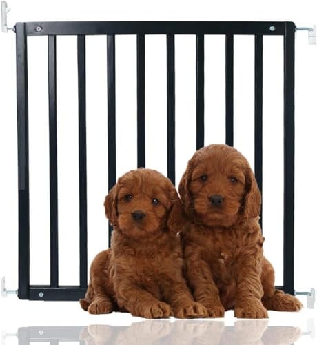 Bettacare Simply Secure Wooden Screw Fit Gate, 72cm - 79cm, Black Wood, Dog Gate, Stylish & Practical Safety Barrier