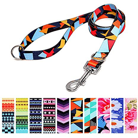 Suredoo Hundeleine Verstellbare, Weich & Komfort Nylon Haustier Trainingsleine mit Doppel-D-Ringfür Kleine Mittlere Große Hunde, 120cmx2cm (Farbblock)