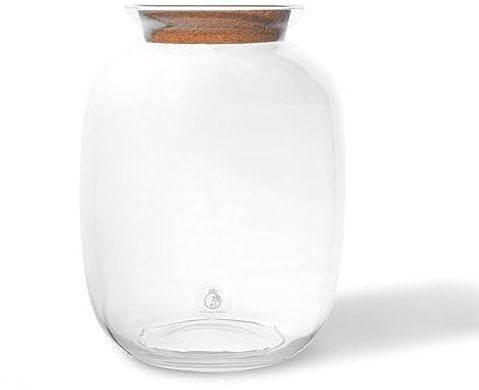 Terrarium Glass Jar with Cork Lid for Plants H: 32 cm, Glass Planter Pot, Closed Terrarium, Office Home Decoration