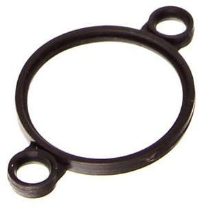 DR.MOTOR AUTOMOTIVE DRM02125 Dichtung Stellelement (Exzenterwelle) Kompatibel mit BMW 3 Touring E91