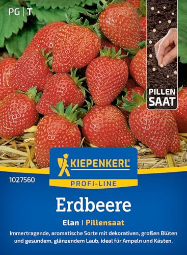 Kiepenkerl Profi-Line Erdbeersamen Elan 1027560 - immertragend - aromatische Sorte - dekorative & große Blüten - Pillensaat, Erdbeerpflanze, Früchte