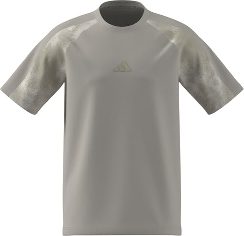 adidas Men's CAMO T-Shirt, Wonder Alumina/Multicolor, L