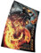 Ghost Rider 2 Spirit of Vengeance Poster Größe 11 x 17(28 x 43 cm) Dekorative Rahmenloses Kunst Geschenk Leinwand Poster