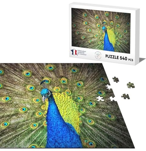 540 Piece Classic Jigsaw Puzzle Gorgeous Peacock Wheel Puzzle Blue Bird