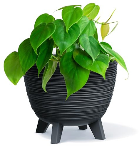 Bowl Planter Plant Pot with Legs Oval Flower Modern Decorative FURU Indoor 4 Colours Modern Elegant Plqastic Matt Finish Textured Home Office Balcony Lightweight (Anthracite, 29cm)