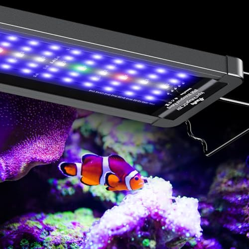 Pawfly 12 W Saltwater Aquarium Light for 30 to 45 cm Fish Tanks Dimmable LED Reef Light for Coral Extendable Marine Fish Tank Light with Full Spectrum D/N Mode Timer Auto On/Off Adjustable Brightness