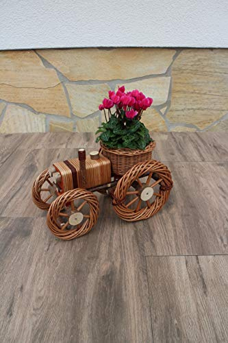 Weidenkorb Weidentraktor Blumenkübel Korbgeflecht Pflanzkorb Weide Plumenkasten Geschenk Präsent (L, Braun)