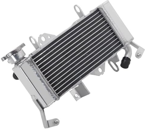 RAQXOLPB Compatible con YZF-R 125 2019 2020 2021 2022 2023 2024 Radiador De Motor Enfriador De Agua Refrigerante Tanques del Radiador OEM: BK6-E2460-00 Radiadores para Moto