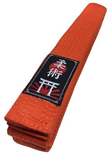 Budodrake Ju Jutsu/Jiu-Jitsu Gürtel orange (260)