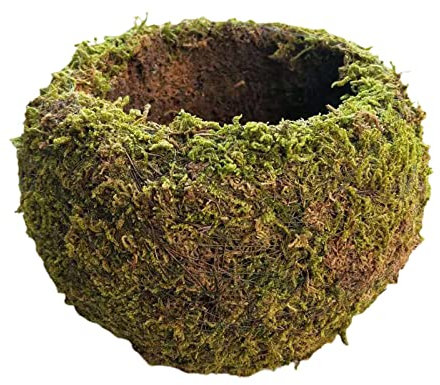 WIVAYE Maceta de musgo de 9 cm, tejido natural, bonsái, forma de nido de pájaro, maceta de musgo Kokedama para decoración del hogar, mesa, oficina