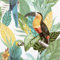 Arthouse Toucan Jungle Multi Wallpaper 296803