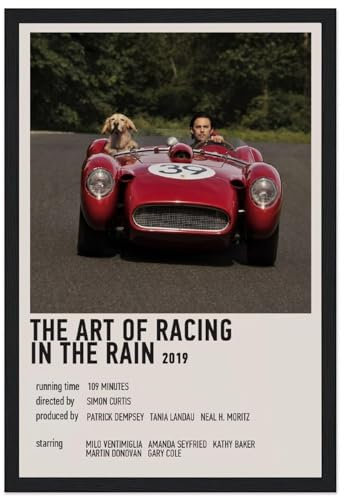 V BY N The Art Of Racing In The Rain (4) Filmposter Vintage Art Cover Raumdekor Ästhetische Schlafzimmer Dekor Leinwand Poster für Schlafzimmer 40 x 60 cm Stil