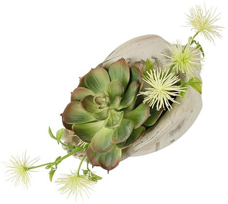 Flair Flower Künstliches Arrangement Sukkulenten Agave Aloe Vera Yucca Sanseveria Pflanze Kakteen Kunstmoos Kaktus Grünpflanze Zimmerpflanze Tischpflanze Kunstpflanze Kunstblume in Muschelschale
