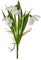 creativ home Kunstblume Schneeglöckchen 21cm weiß. Künstliche Frühlingsblumen, Maiglöckchen, Frühlingsdekoration