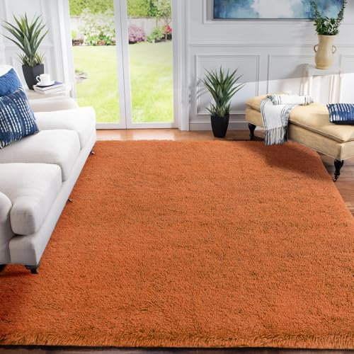 XSIVOD Soft Area Rugs for Living Room, Plush Fluffy Bedroom Rug, Non-slip Shaggy Rugs for Dorm Teens Room Decor, Modern Indoor Furry Carpets for Playroom Study Office, 200x300 cm, Orange