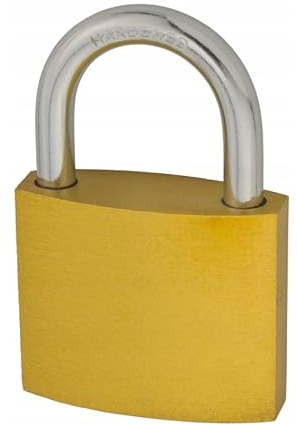 FEINZ Lot de 20 cadenas de 50 mm à clé unique - cadenas en fonte avec une seule clé pour tous les cadena