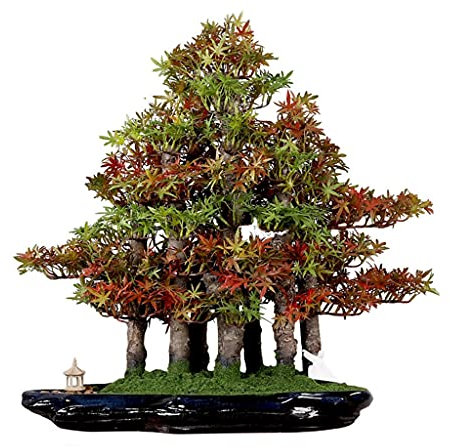 HASMI Künstliche Bonsai Künstliche Kiefer-Bonsai-realistische Zypresse Und Moos-chinesisches Bonsai Mit Kleinem Pavillon Und Bösewicht Innenbüro-Dekoration Künstliche Pflanze